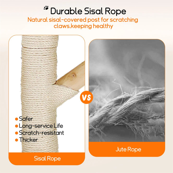 arbre à chat élégant bois naturel nid perché