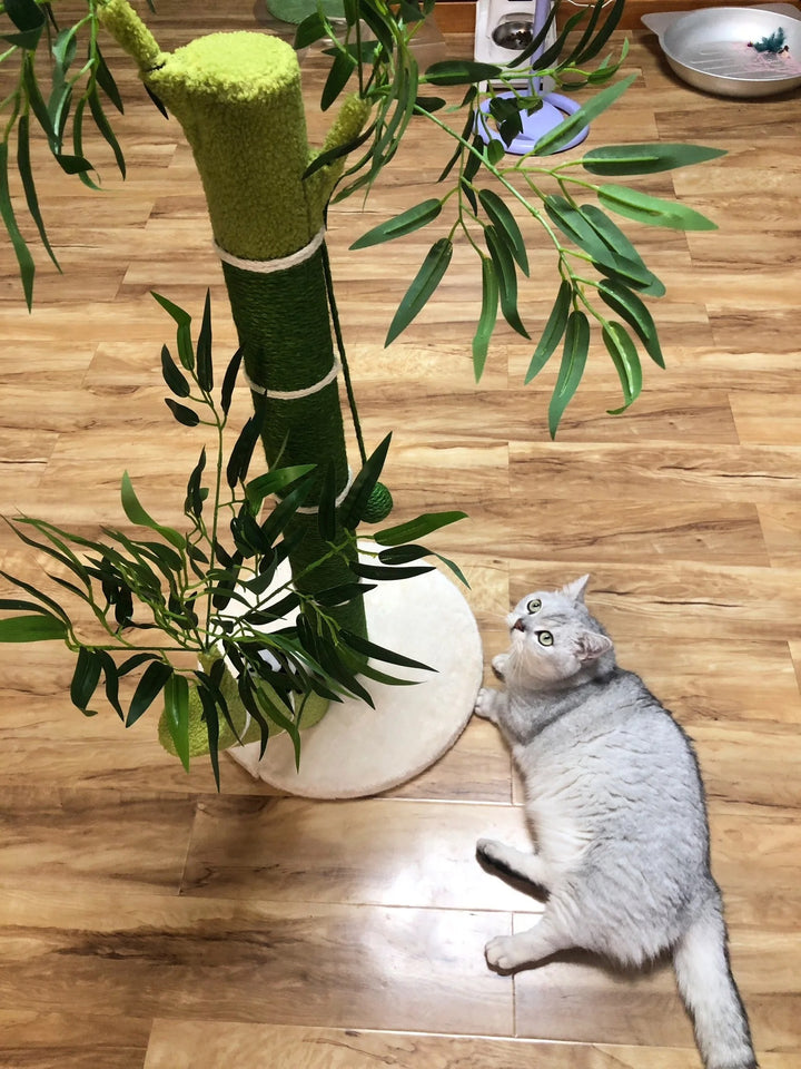 Cat tree design tree